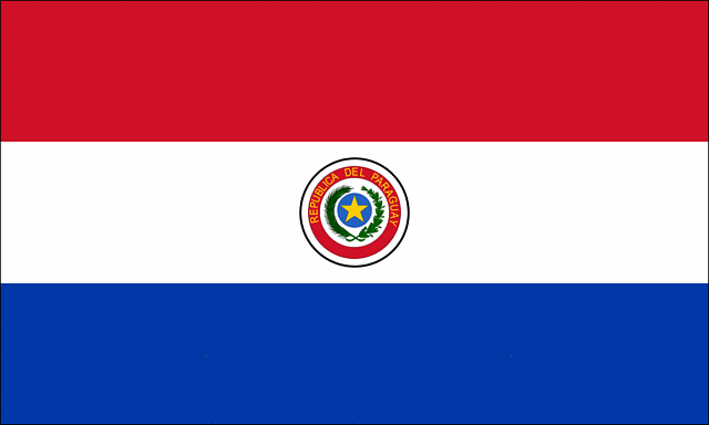 flag of paraguay 0
